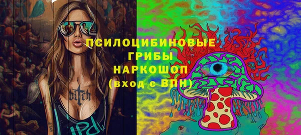 тгк Алзамай