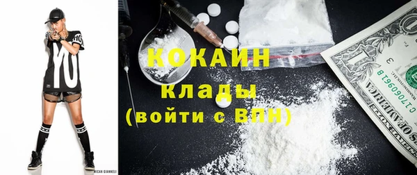 тгк Алзамай