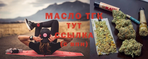 тгк Алзамай